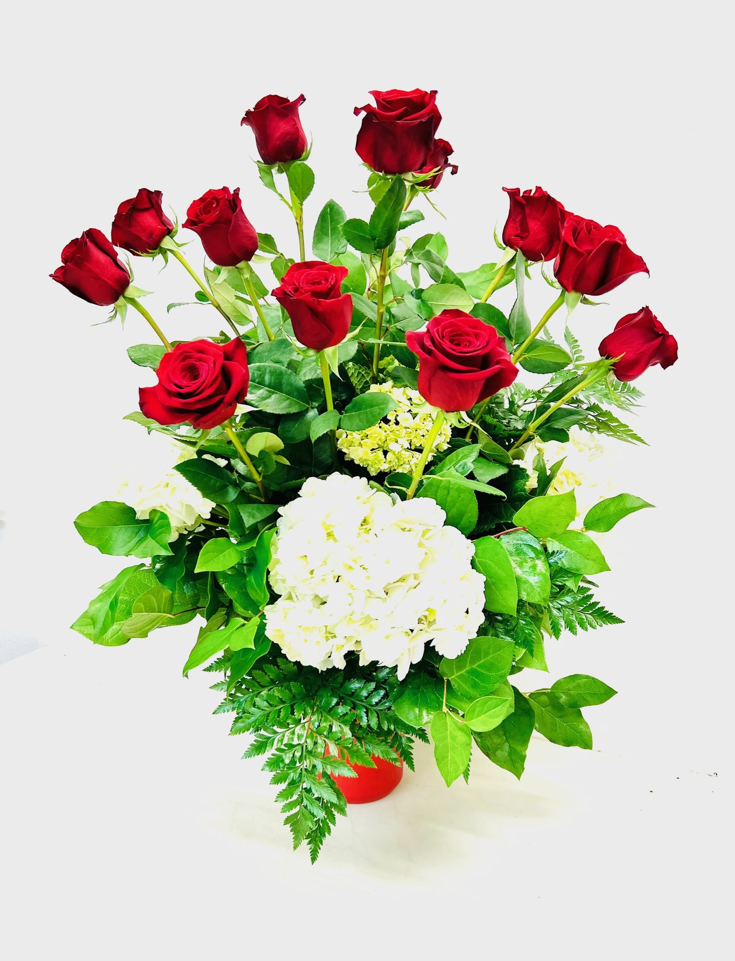 Posh Red One Dozen Long Stemmed Red Roses 